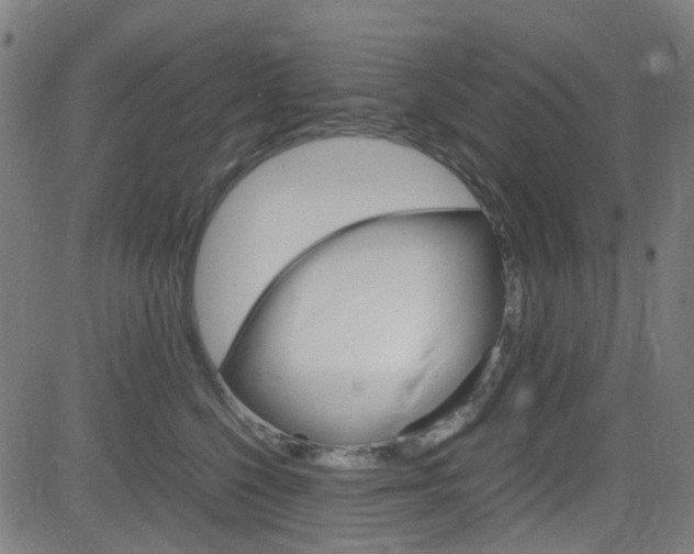 X0000083000568200702011212