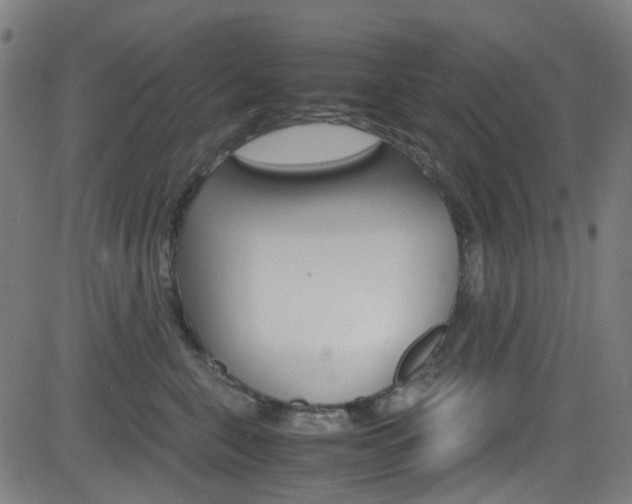 X0000083000571200702011212