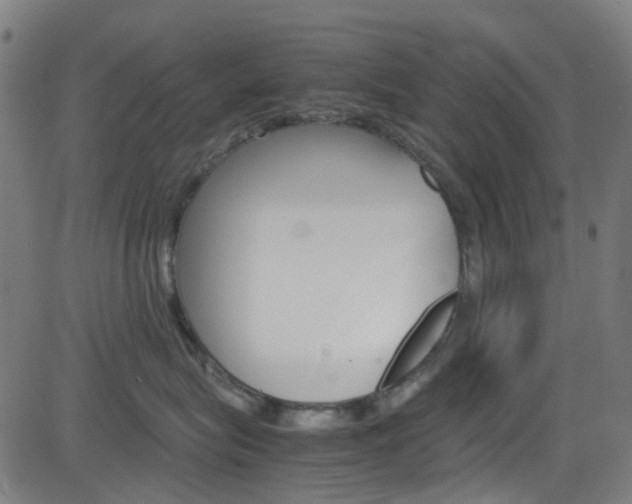 X0000083000575200702011212