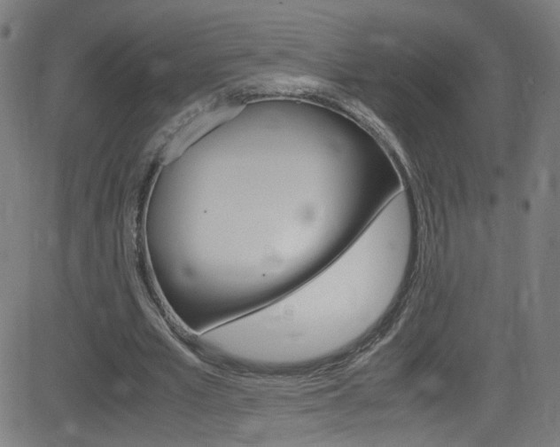 X0000083000581200702011211