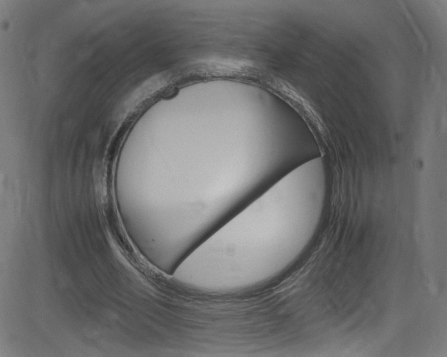 X0000083000582200702011211