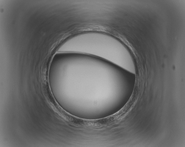 X0000083000585200702011211