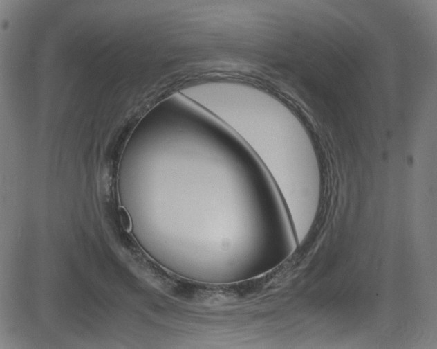 X0000083000597200702011211