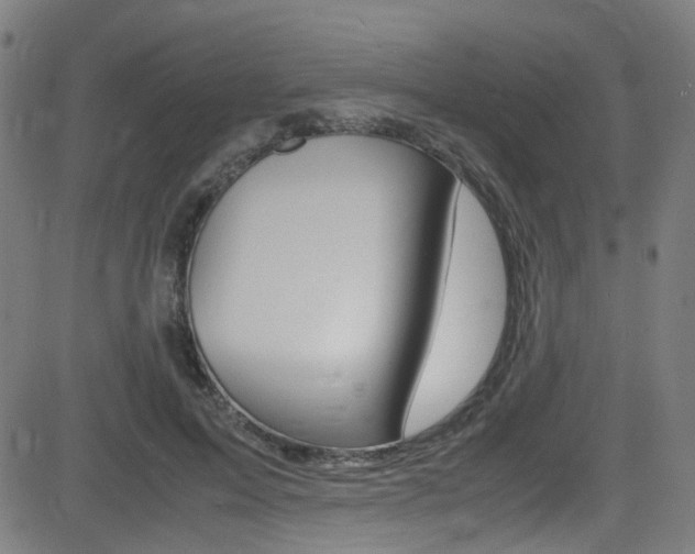 X0000083000599200702011211