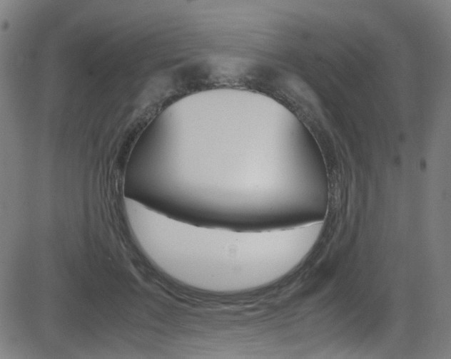 X0000083000603200702011211