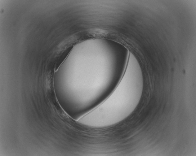 X0000083000604200702011211