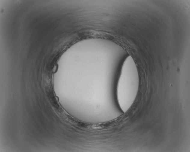 X0000083000607200702011211