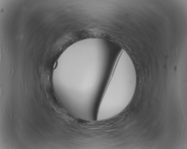 X0000083000615200702011211