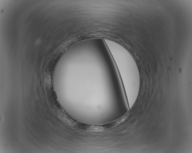 X0000083000617200702011211