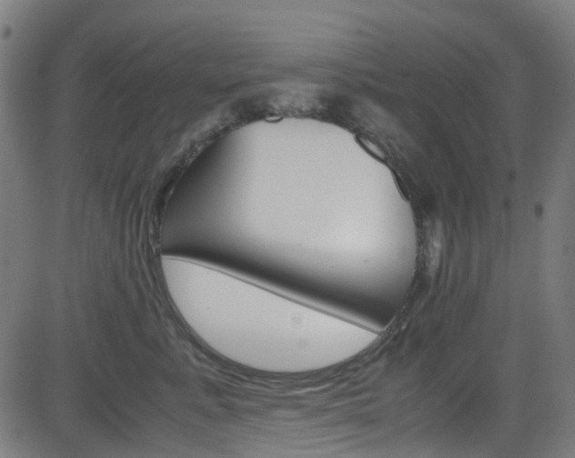 X0000083000619200702011211