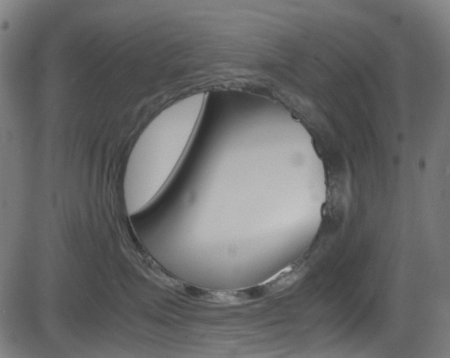 X0000083000623200702011211