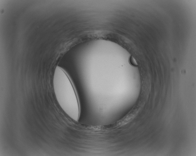 X0000083000624200702011211