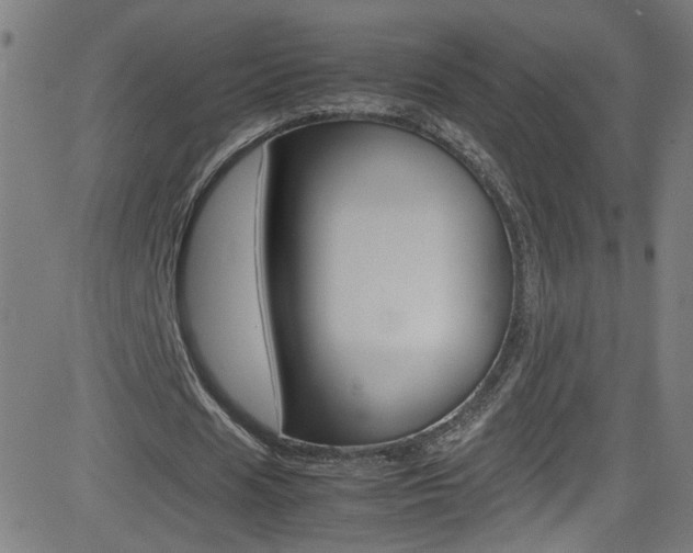 X0000083000625200702011210