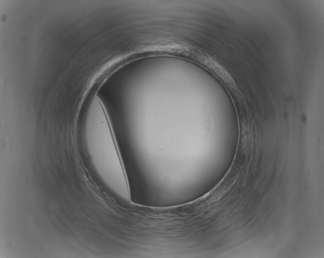 X0000083000628200702011210
