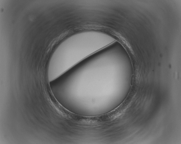X0000083000633200702011210