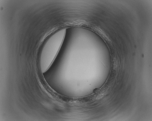 X0000083000634200702011210