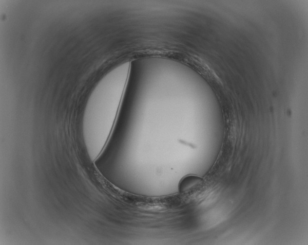 X0000083000643200702011210