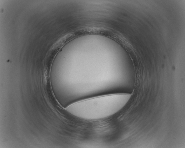X0000083000644200702011210