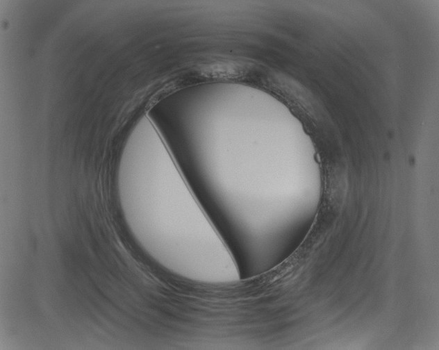 X0000083000645200702011210