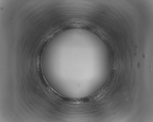 X0000083000646200702011210