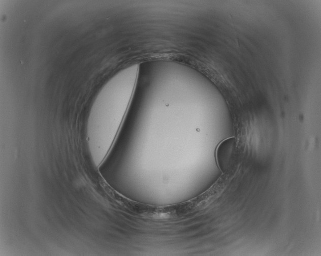 X0000083000647200702011210