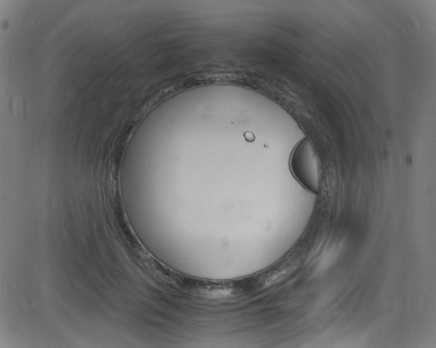 X0000083000651200702011210
