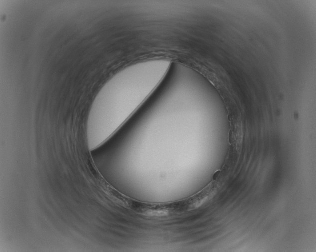 X0000083000653200702011210