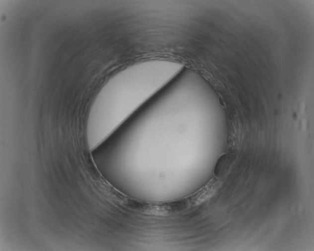 X0000083000656200702011210