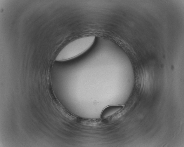 X0000083000661200702011210