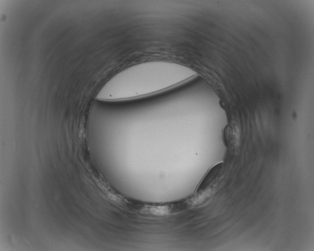 X0000083000665200702011210