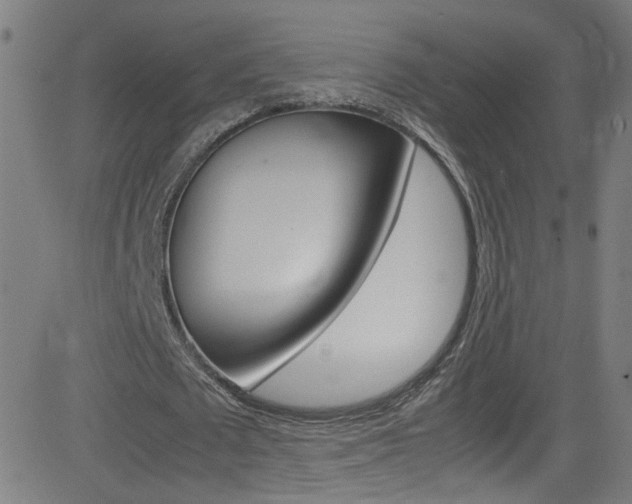 X0000083000673200702011210