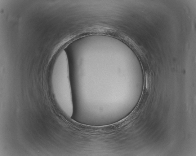 X0000083000675200702011210