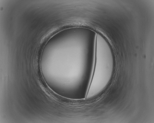 X0000083000677200702011210