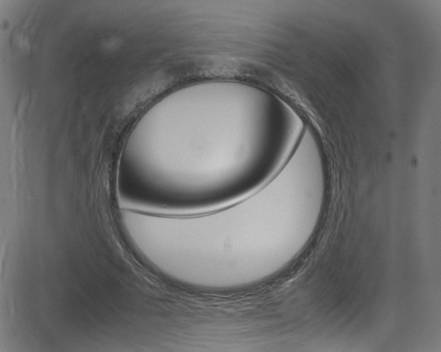 X0000083000681200702011210
