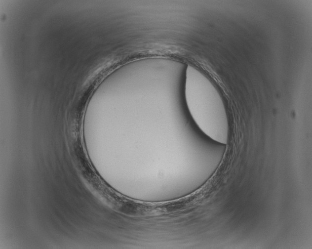 X0000083000683200702011210