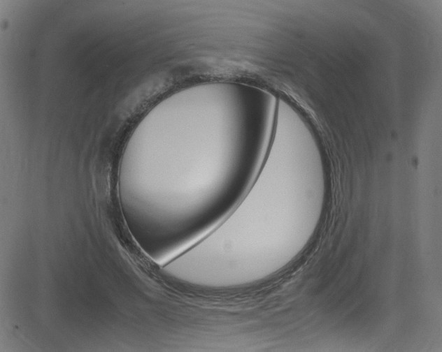 X0000083000685200702011210
