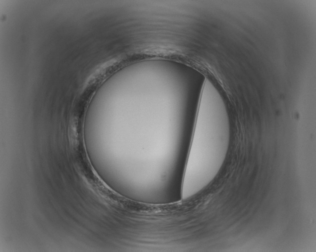 X0000083000688200702011210