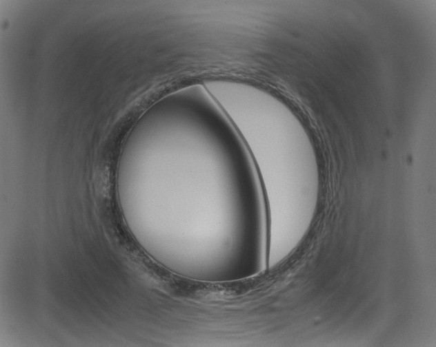 X0000083000689200702011210