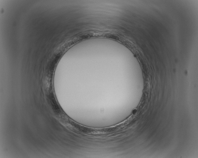 X0000083000691200702011210