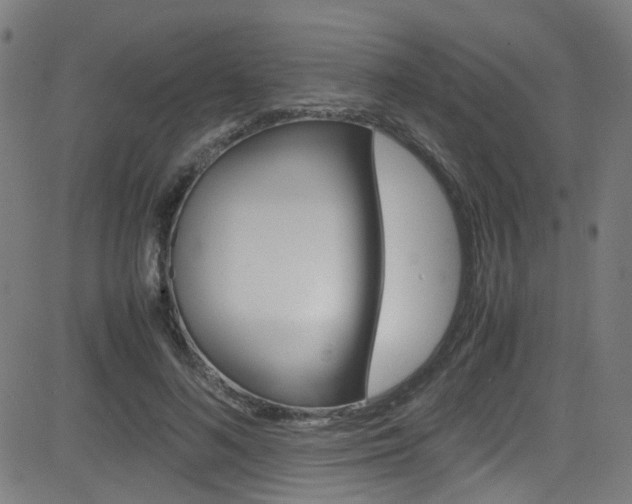 X0000083000692200702011209