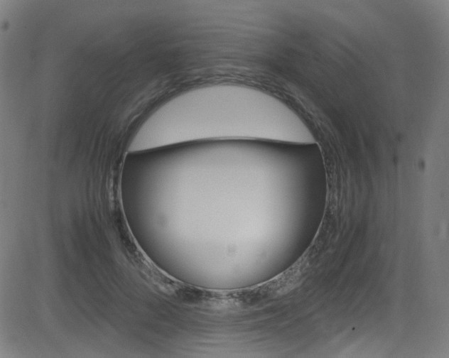 X0000083000696200702011209