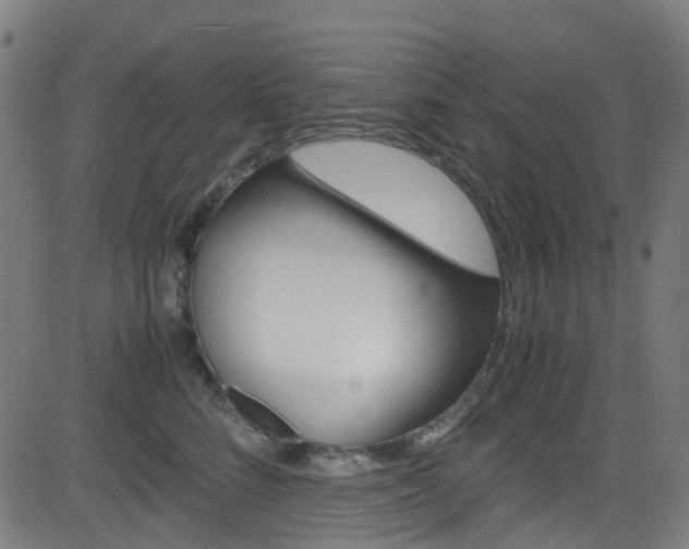 X0000083000712200702011209