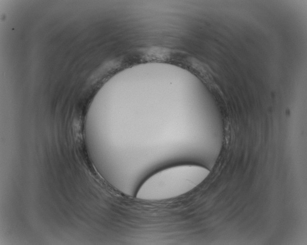 X0000083000714200702011209
