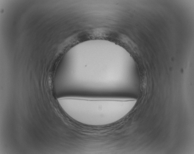 X0000083000715200702011209