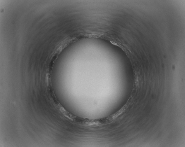 X0000083000716200702011209