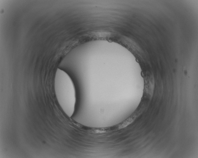 X0000083000718200702011209
