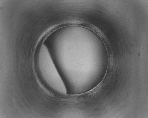 X0000083000726200702011208