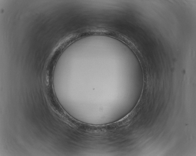 X0000083000731200702011208