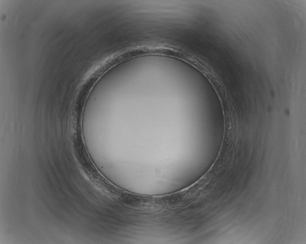 X0000083000732200702011208
