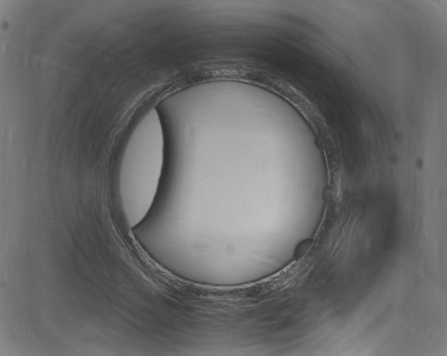 X0000083000733200702011208